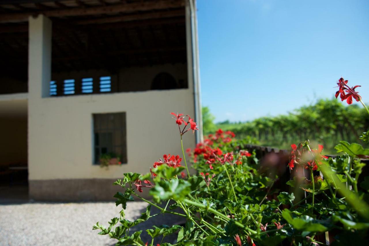 Agriturismo Albarello Sona Eksteriør bilde