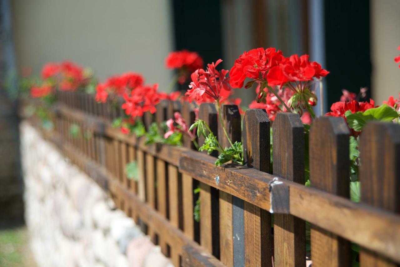 Agriturismo Albarello Sona Eksteriør bilde